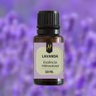 Kit 12 Essências p aromatizador Difusor elétrico Nattuaromas