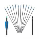 Kit 12 Flechas De Fibra De Vidro Para Arco E Flecha