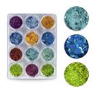 Kit 12 Glitter Diversos Brilho Decoração Unhas Gel Nail Art Kit 12 Glitter Diversos Brilho Decoração Unhas Gel Nail Art