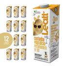 Kit 12 Leite De Castanha Leatt 1l Sem Açúcar Bebida Vegetal