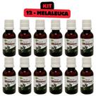 Kit 12 Óleos de Melaleuca 30mL Tea Tree Aroeira Cosmética - Cuidados Naturais para Pele e Cabelos Kit 12 Óleos de Melaleuca 30mL Tea Tree Aroeira Cosmética - Cuidados Naturais para Pele e Cabelos