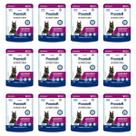Kit 12 Sachê PremieR Nutrição Clínica Urinário Gatos - 70G