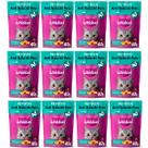 Kit 12 Sachês Petiscos Para Gato Whiskas Anti Bola De Pelo