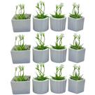 Kit 12 Vasinhos Decorativo com Plantas Artificais