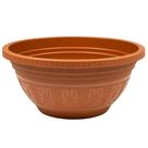 Kit 12 Vasos P Planta Cacto Suculenta Rosa Deserto Flores
