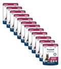 Kit 12x premier sache c gato urinaria 70g
