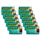 Kit 12X Sabonete Palmolive Naturals Esfoliação Delicada 85g