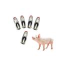 Kit 15 Bebedouro Chupeta Suíno Porco Adulto Inox 7cm