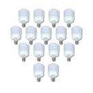 KIT 15 Lâmpadas LED bulbo 30W 6.500K - Econômica