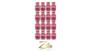 Kit 16 Hair Plus Força e Crescimento 30 Cápsulas - Nanovit Sabor:sem sabor Kit 16 Hair Plus Força e Crescimento 30 Cápsulas - Nanovit Sabor:sem sabor