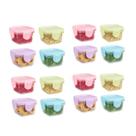 Kit 16 Mini Potes Herméticos 60ml com Tampa Cores Sortidas
