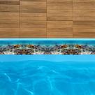 Kit 16und Faixas Piscina Brilho Proteção Borda 100cm X 10cm golfinhos peixes