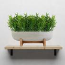 Kit 18 buques de bambu artificial Plantas permanente p enfeites e decoração temática preço atacado Kit 18 buques de bambu artificial Plantas permanente p enfeites e decoração temática preço atacado