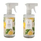 Kit 2 Águas Perfumadas Lenvie 500 ml