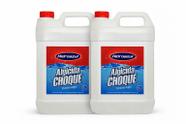 Kit 2 Algicida Choque HidroAzul 5L