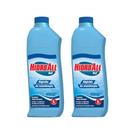 Kit 2 Algicida De Manutenção Para Piscina Hidroall 1 Litro