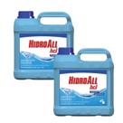 Kit 2 algicida manutencao 5l hidroall