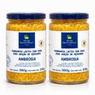 Kit 2 Ambrosia Zero Adição de Açucar São Lourenço 380g