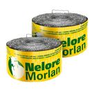 Kit 2 Arame Farpado Nelore Fio 16 1,60mm 250kgf 500m