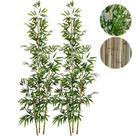 Kit 2 Bambu Artificial 2 Metros Mosso Grande Sem Vaso Decoração