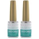 Kit 2 Base Pró Recuperação Casco Cavalo 8Ml - Trop Care