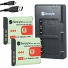 Kit 2 Baterias NP-BG1/FG1 MemoryTec + Carregador Duplo Compatível com Sony H3 H7 H9 H10 H20 H50 H55 H70 H90 HX5 HX7 HX9