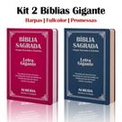Kit 2 Biblias Sagrada Letra Gigante Luxo Popular - Pink e Azul - Com Harpa - RC