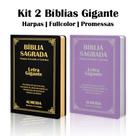 Kit 2 Biblias Sagrada Letra Gigante Luxo Popular - Preta e Lilas- Com Harpa - RC