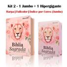 KIT 2 BIBLIAS Sagrada Letra jumbo e Hipergigante c/ harpa e índice - Leão Flores Rosé