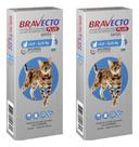 Kit 2 Bravecto Plus Gato 2,8 A 6,25kg Antipulgas E Carrapato