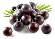 Kit 2 Bulbo De Açaí Anao