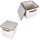 KIT 2 - Caixa Organizadora Grande Durabilidade e Resistência