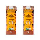 Kit 2 caixas bebida vegetal choconuts 1l a tal da castanha cremosa, suave e natural com cacau Kit 2 caixas bebida vegetal choconuts 1l a tal da castanha cremosa, suave e natural com cacau