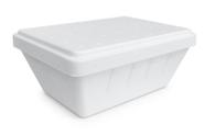 Kit 2 Caixas Isopor Para Sorvete Gelato 0,7 Litro Com Refil