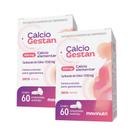 Kit 2 Calcio Gestan 500mg 60 Comprimidos Kit 2 Calcio Gestan 500mg 60 Comprimidos