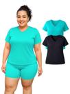 Kit 2 Camiseta Manga Curta Dryfit Fitness Academia Plus Size