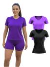 Kit 2 Camiseta Manga Curta Dryfit Fitness Academia