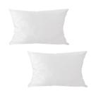 Kit 2 Capas para Almofada em Veludo Liso Retangular 60x40 com Enchimento
