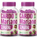 Kit 2 Cardo Mariano 500mg 240 Cápsulas Forma Suprema