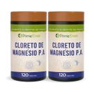 Kit 2 Cloreto de Magnésio P A 500mg 120 Cápsulas Fitoprime