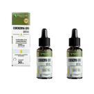 Kit 2 Coenzima Q10 200mg Líquida 2x30ml maracujá Floral Ervas do Brasil