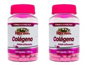 Kit 2 Colágeno Hidrolisado 500mg 120 Cápsulas - Rei Terra Kit 2 Colágeno Hidrolisado 500mg 120 Cápsulas - Rei Terra