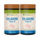 Kit 2 Colágeno Tipo 2 120 cápsulas Prime Ervas