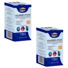 Kit 2 Colágeno Tipo 2 Suplemento 60 Cps Rende 4 Meses UCFlex Kit 2 Colágeno Tipo 2 Suplemento 60 Cps Rende 4 Meses UCFlex