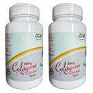 Kit 2 Colágeno Tipo II - Life Natural - 60 Cápsulas Kit 2 Colágeno Tipo II - Life Natural - 60 Cápsulas