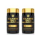 Kit 2 Colágeno Tipo II Premium 500mg 2x60 cps Floral Ervas