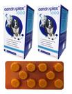 Kit 2 Condroplex 1000 Comprimido Para Cães Cão E Gatos 60 Cp