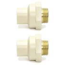 Kit 2 Conector 22mm 3/4 Cpvc Água Quente Luva Transição Tubo