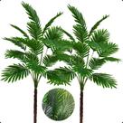 Kit 2 Coqueiro Palmeira Areca Leque Rafia Sem Vaso