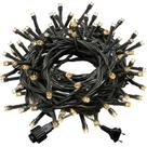 Kit 2 Cordão 100 Led Fixo Branco Morno Fio Verde Blindado 220v